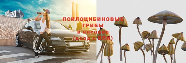 Альфа ПВП Богородицк