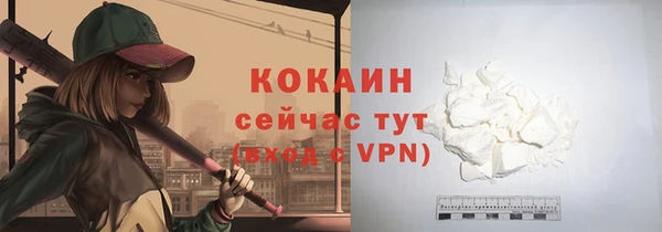 PSILOCYBIN Богданович