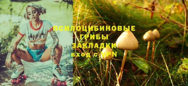 Альфа ПВП Богородицк