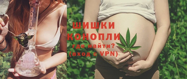 PSILOCYBIN Богданович