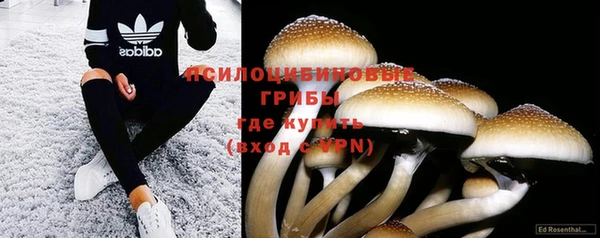 PSILOCYBIN Богданович